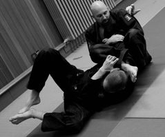 Tai Jutsu training in Bornem (3)